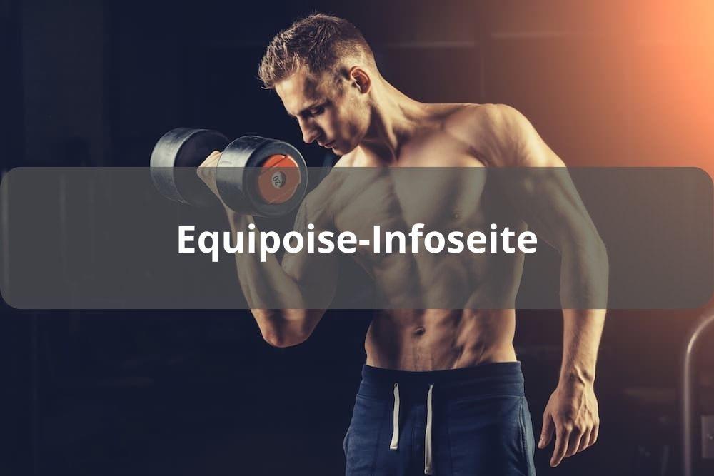 Equipoise
